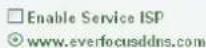 EverFocus NeVio EHN1320 - DDNS Settings - 1