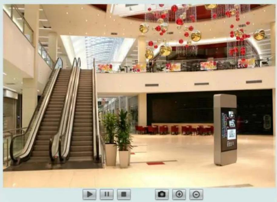 EverFocus NeVio EHN1320 - Remote Playback Using Playback Page - 2