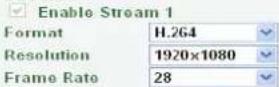 EverFocus NeVio EHN1320 - Stream Settings - 1