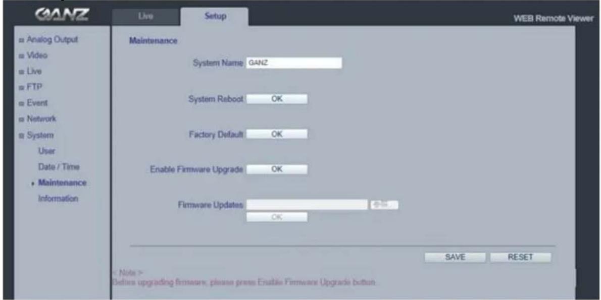 Ganz PixelPro ZN-MDI243M-IR - System > Maintenance - 1