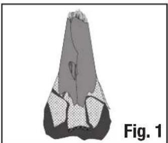 COLEMAN Instant Up 4P - Extend the Tent Frame - 1