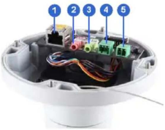 Geovision GV-VD2500 - Overview - 2