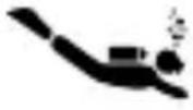 Diesel DZ5567 - 4