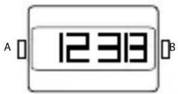 A 12313 B