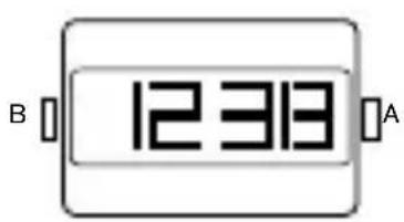 B 12313 A