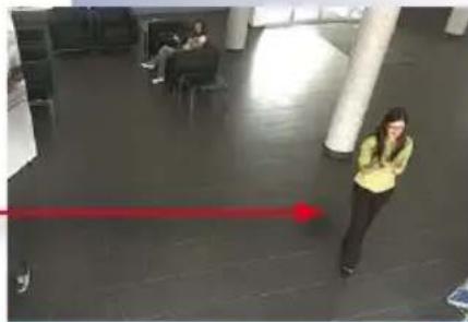 Mobotix Allround M15 - Full Image Recording - 3