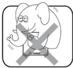 Shuttle XPC XG41 - Installation Notices - 1
