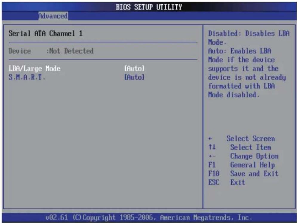 Shuttle XPC XG41 - IDE Configuration - 2