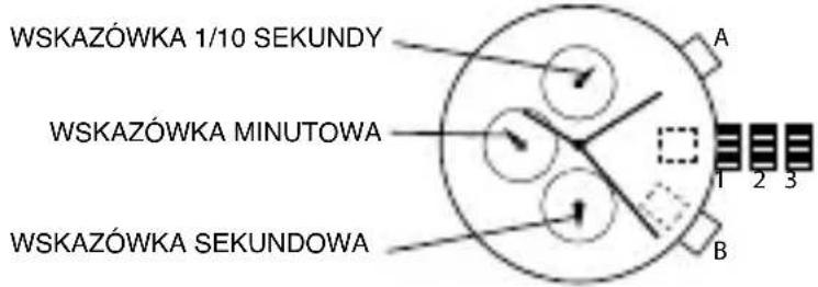WSKAZÓWKA 1/10 SEKUNDY WSKAZÓWKA MINUTOWA WSKAZÓWKA SEKUNDOWA A 1 2 3 B