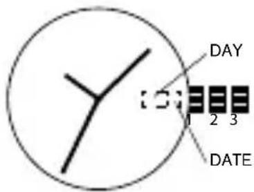 Diesel Rasp DZ1860 - TIME SETTING - 2