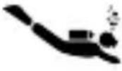 Diesel Rasp DZ1860 - 4