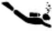 Diesel Rasp DZ1860 - 4