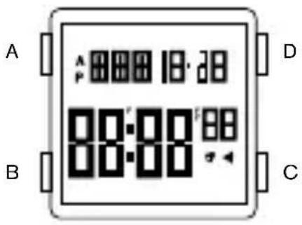 A 00:00'88' 00:00' B C D