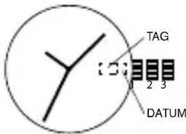 TAG 1 2 3 DATUM