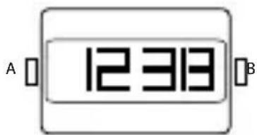 A 12313 B