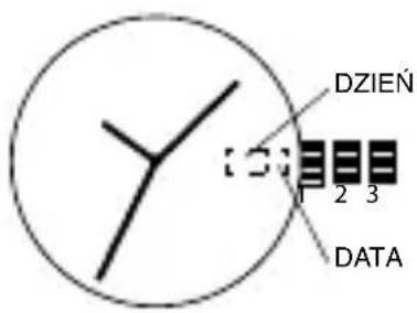 DZIEN DATA
