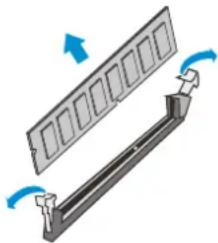 Infortrend EonStor DS 4024 - Installing the DIMM Module - 1