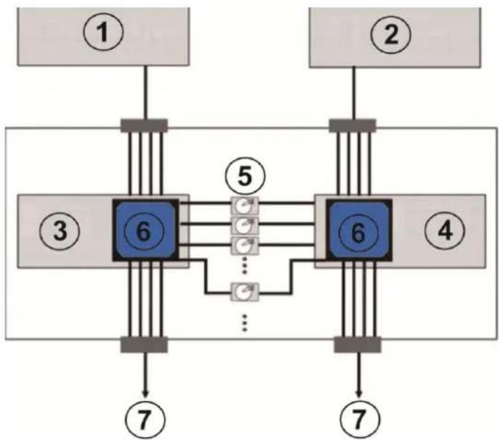 Infortrend EonStor DS 4024 - Configuration Rules - 1