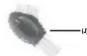 REMINGTON WDF-4820 - SAVE THESE INSTRUCTIONS - 1