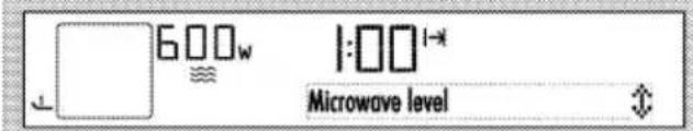 600w 1:001* Microwave level