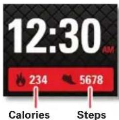 12:30 AM 234 5678 Calories Steps