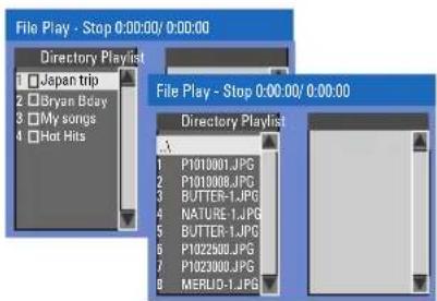 PHILIPS DVDR3350H - Playing a picture disc (or musical slide show) - 1