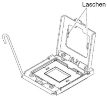 Laschen