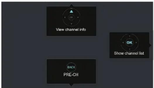 HISENSE 43H6C - Launch Live TV - 1