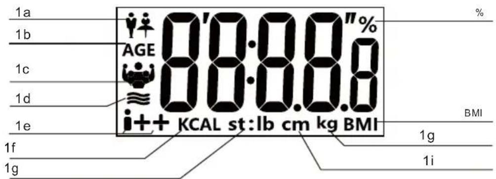 1a 1b 1c 1d 1e 1f 1g 08:08.0" AGE 00:00.0 i++ KCAL st:lb cm kg BMI % BMI 1g 1i