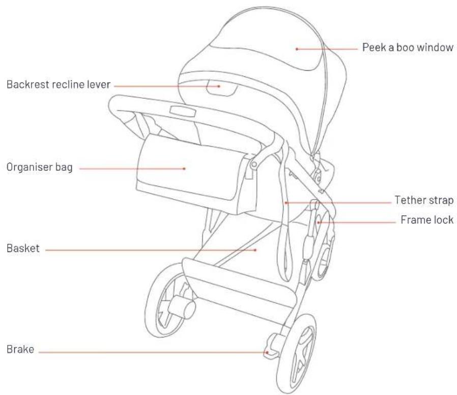 Steelcraft Strider Mini Signature - Stroller Features - 2