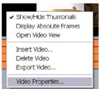 ✓ Show/Hide Thumbnails Display Absolute Frames Open Video View Insert Video... Delete Video Export Video... Video Properties...