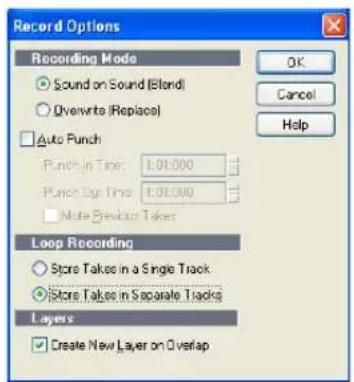 Record Options Recording Mode Sound on Sound (Blend) Overwrite (Replace) Auto Punch Punch In Time: 1.01.000 Punch Out Time: 1.01.000 Mate New Bus Takes Loop Recording Store Takes in a Single Track Store Takes in Separate Tracks Layers Create New Layer on Overlap