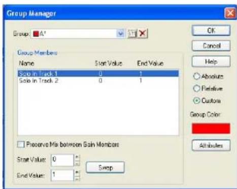 Group Manager Group: A* OK Cancel Help Absolute Relative Customs Group Color Group Members Name Start Value End Value Stop in Track 1 0 1 Stop in Track 2 0 1 □ Preserve Mix between Gain Members Start Value: 0 + End Value: 1 - Swap Attributes
