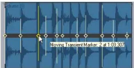 Volume (5) Moving Transient Marker. 2 at 1:03:307