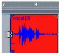 vocal (3)
