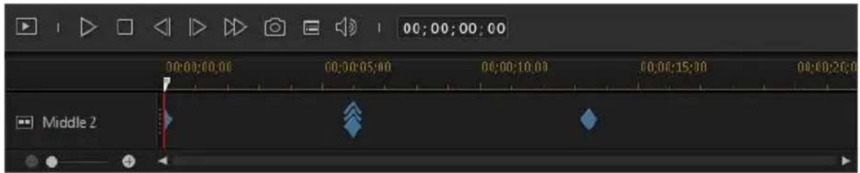 00:00:00:00 00:00:05:00 00:00:10:00 00:00:15:00 00:00:20:00 Middle 2