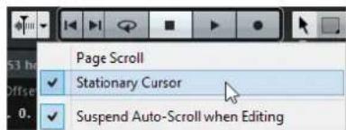 STEINBERG Cubase AI 9.5 - Stationary Cursor - 1