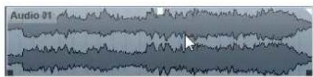 STEINBERG Cubase AI 9.5 - NOTE - 1