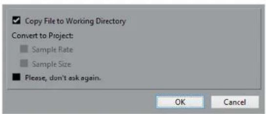 STEINBERG Cubase AI 9.5 - Import Options Dialog - 1