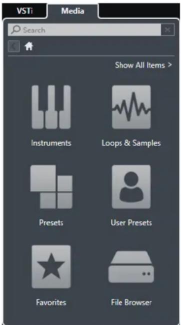 STEINBERG Cubase AI 9.5 - Right Zone - 2
