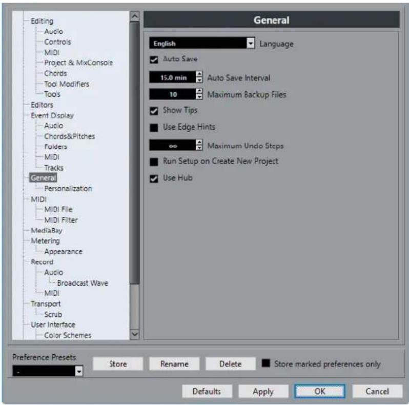 STEINBERG Cubase AI 9.5 - Preferences Dialog - 1