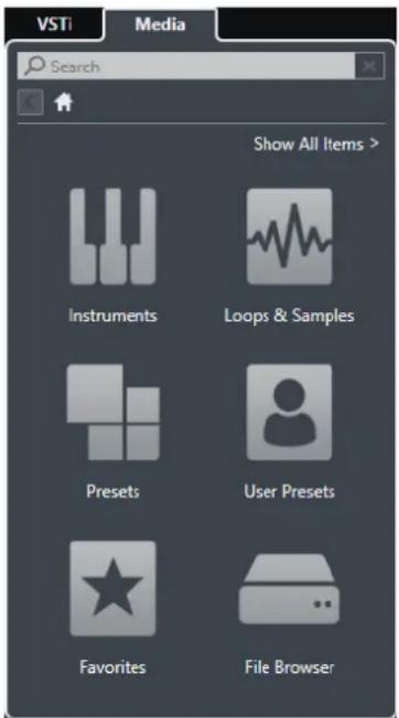 STEINBERG Cubase AI 9.5 - Media Rack in the Right Zone - 1