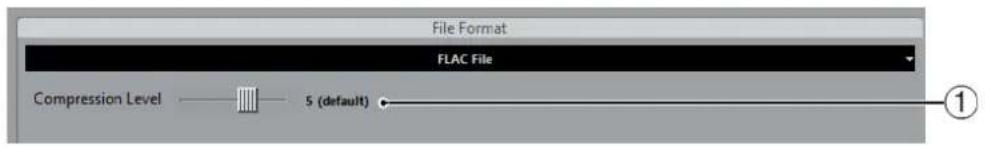 STEINBERG Cubase AI 9.5 - FLAC Files - 1