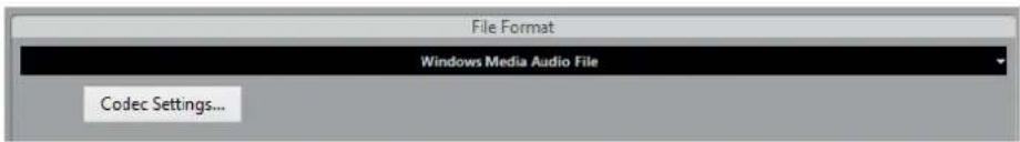 STEINBERG Cubase AI 9.5 - Windows Media Audio Files (Windows only) - 1
