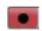 STEINBERG Cubase AI 9.5 - Record enable - 1