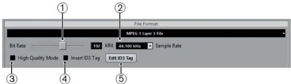 STEINBERG Cubase AI 9.5 - MP3 (MPEG-1 Layer 3) files - 1