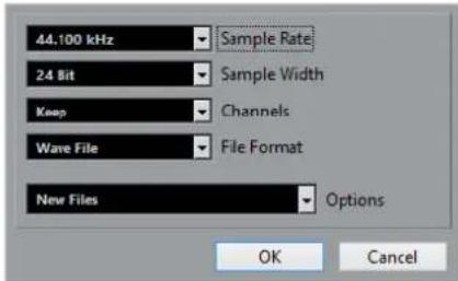 STEINBERG Cubase AI 9.5 - Convert Options Dialog - 1