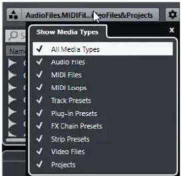 STEINBERG Cubase AI 9.5 - Show Media Types Selector - 1