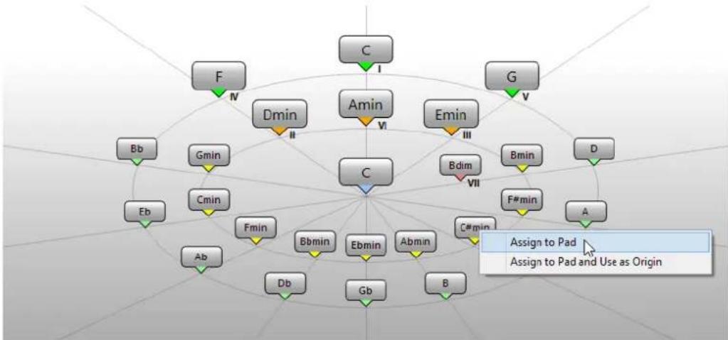 STEINBERG Cubase AI 9.5 - Chord Assistant - Circle of Fifths Mode - 1
