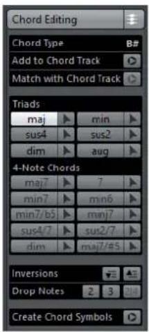 STEINBERG Cubase AI 9.5 - Chord Editing Section (Cubase Elements only) - 1